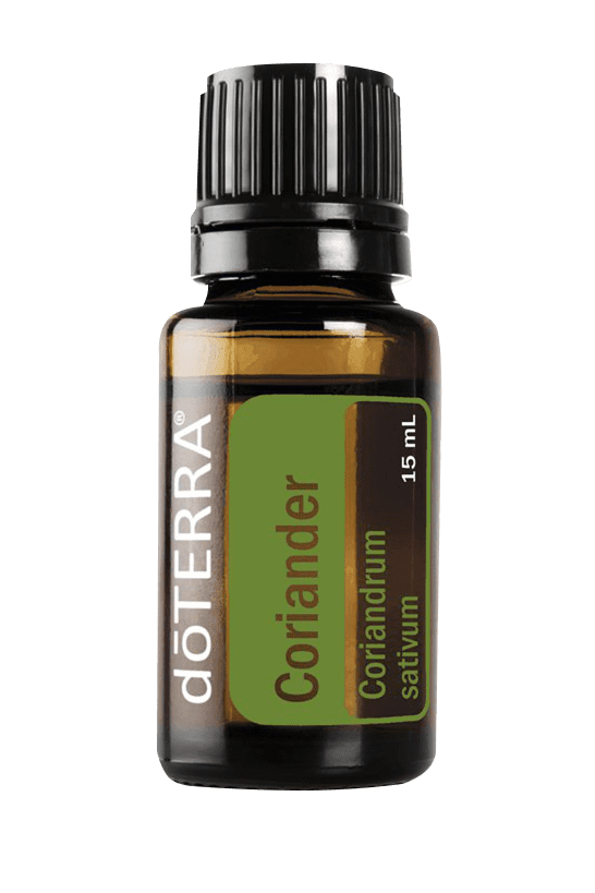 Coriander (Koriandrs)