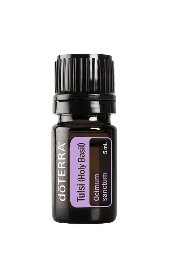 Tulsi (Holy Basil) Essential Oil 5ml
