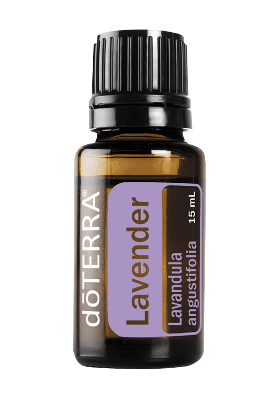 Lavender (Lavanda)