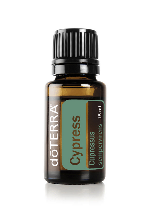 Cypress (Ciprese)