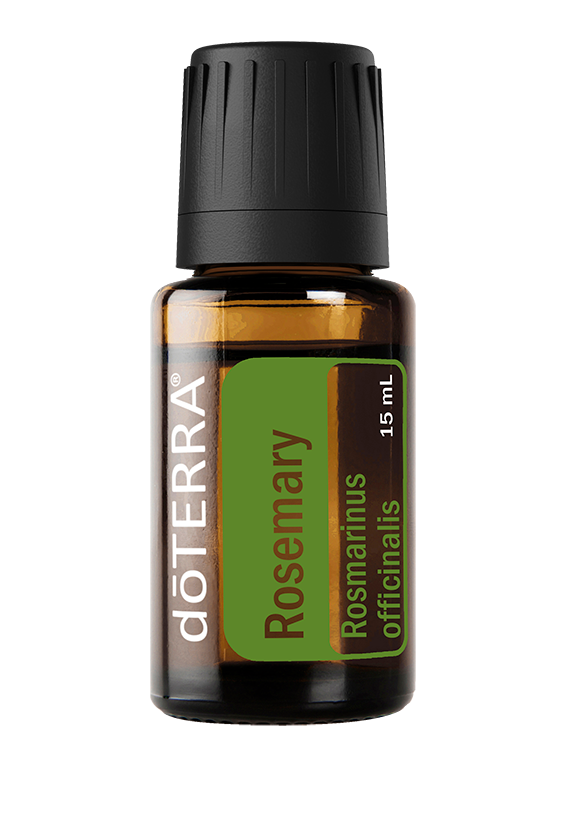 Rosemary (Rozmarīns)