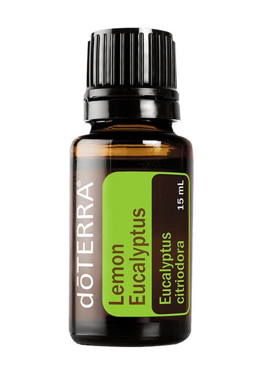 Lemon Eucalyptus (Citronu eikalipts)