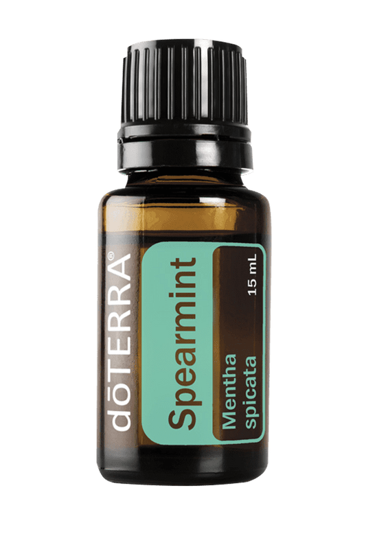 Spearmint (Krūzmētra)