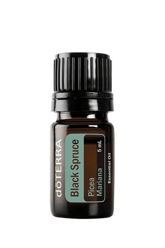 Black Spruce (Melnā egle) 5ml