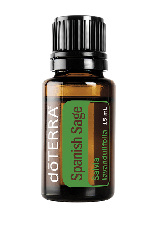 Spanish Sage (Spānijas salvija)