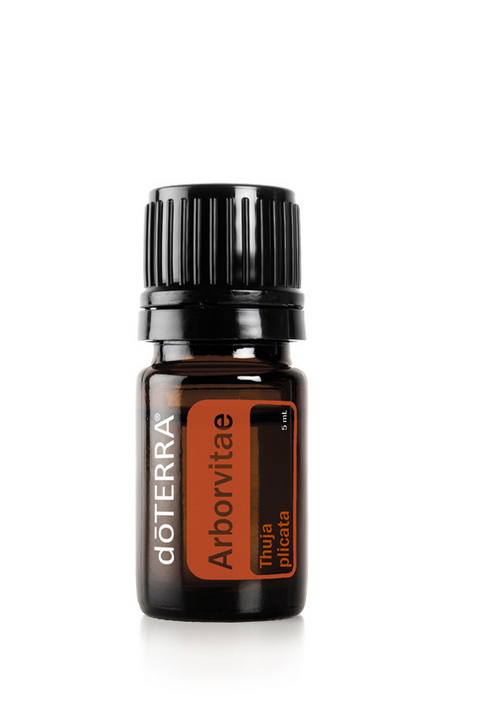 Arborvitae (Tūja) 5ml