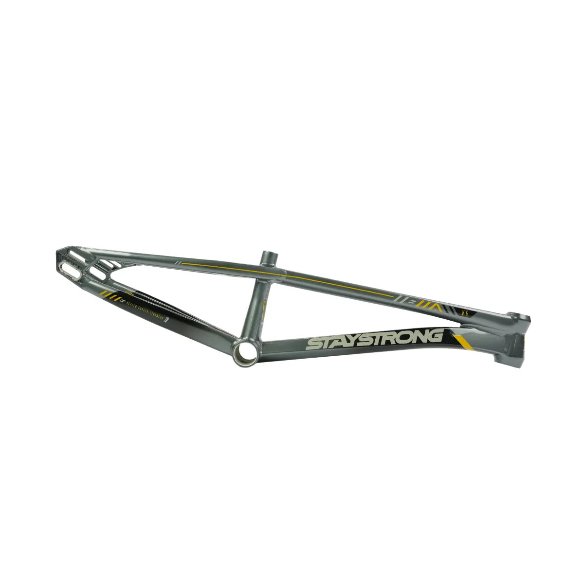 Stay Strong For Life V6.0 Bmx Race Frame Grey/Gold