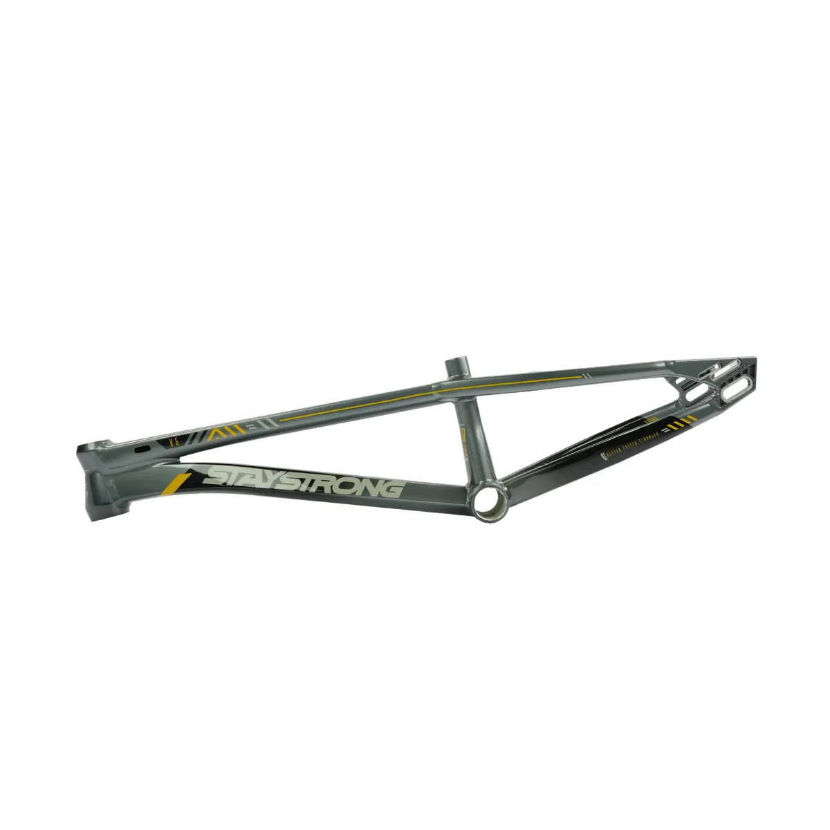 Stay Strong For Life V6.0 Bmx Race Frame Grey/Gold