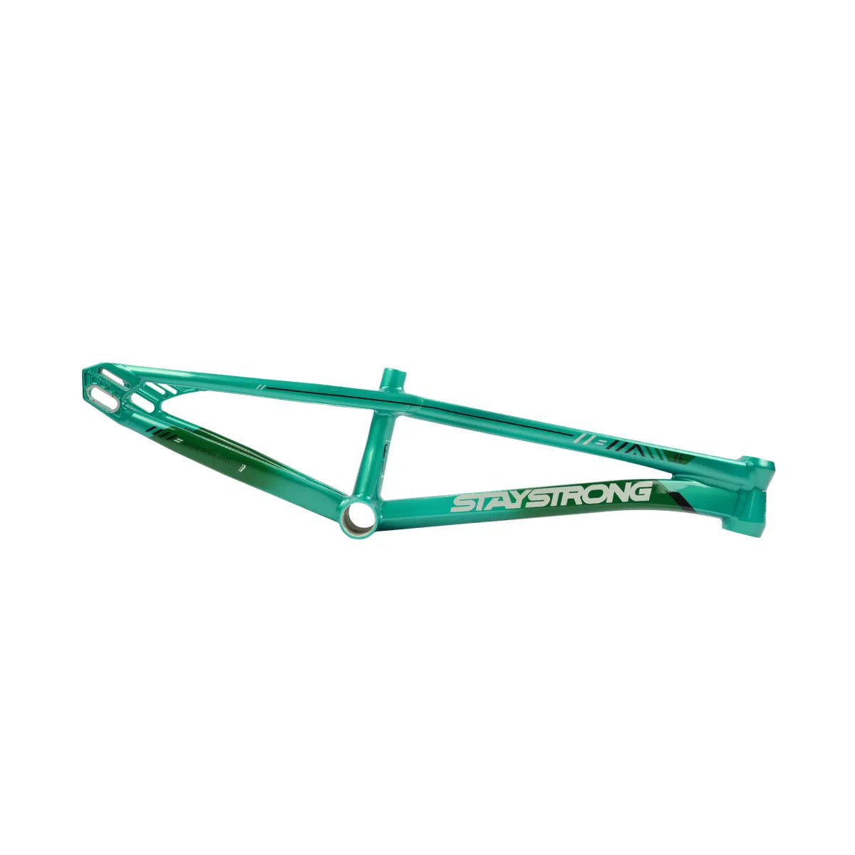 Stay Strong For Life V6.0 Bmx Race Frame Mint/Black