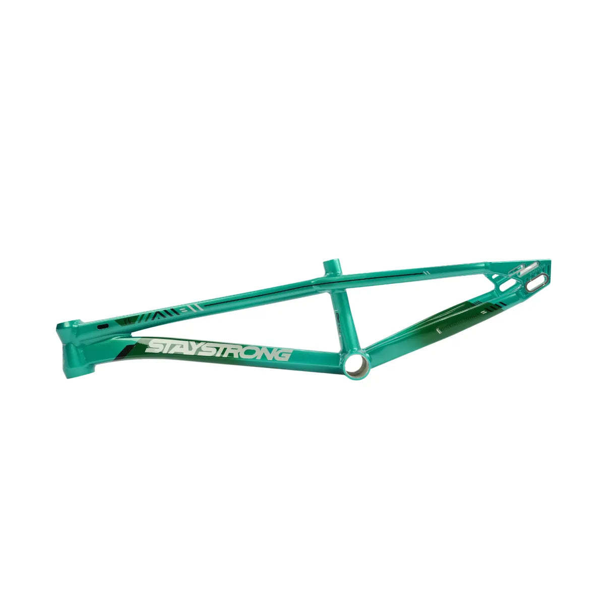 Stay Strong For Life V6.0 Bmx Race Frame Mint/Black